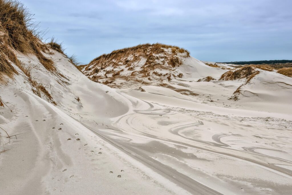 De Hollandse Duinen Zuid-Holland